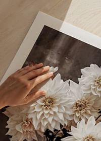 Dahlia Flower Pot-5