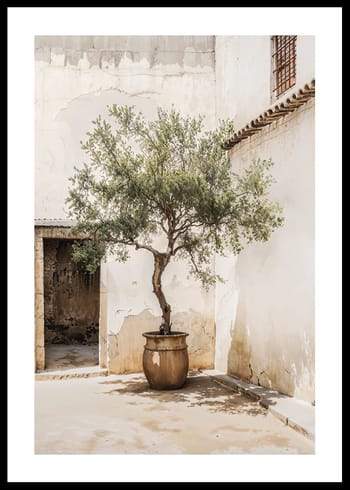 Poster Olive Tree Mediterranean Setting No2