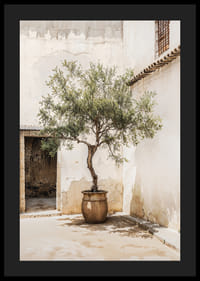 Fotografi av olivträd i kruka mot solblekt vägg-4