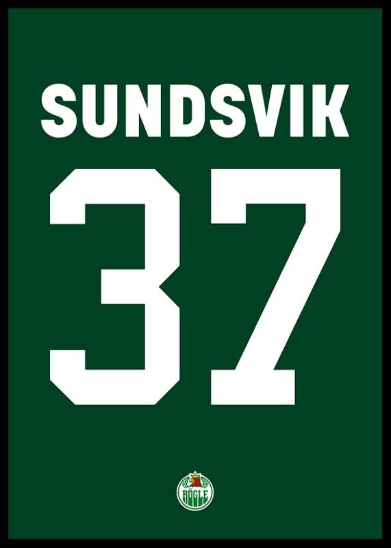 Albin Sundsvik #37 Rögle BK 2023/2024-12