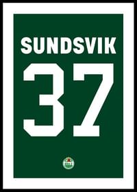 Albin Sundsvik #37 Rögle BK 2023/2024-0