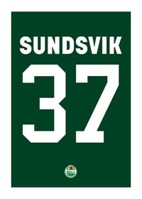 Albin Sundsvik #37 Rögle BK 2023/2024-1