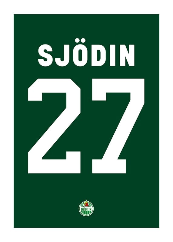 Linus Sjödin #27 Rögle BK 2023/2024-12