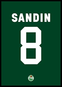 Linus Sandin #8 Rögle BK 2023/2024-2