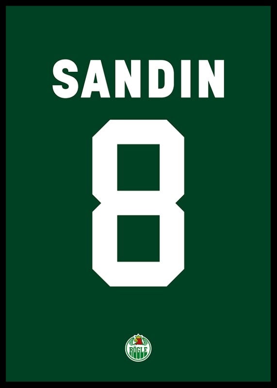Linus Sandin #8 Rögle BK 2023/2024-12
