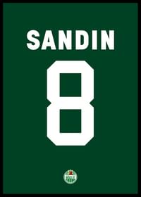 Linus Sandin #8 Rögle BK 2023/2024-2