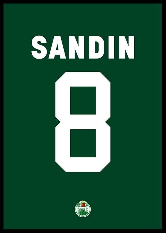 Linus Sandin #8 Rögle BK 2023/2024-12