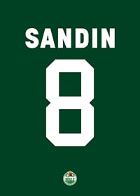 Linus Sandin #8 Rögle BK 2023/2024-3