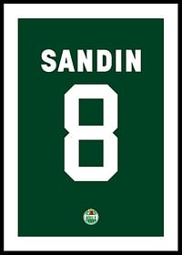 Linus Sandin #8 Rögle BK 2023/2024-0
