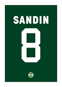 Linus Sandin #8 Rögle BK 2023/2024-1