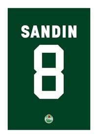 Linus Sandin #8 Rögle BK 2023/2024-1