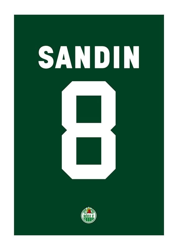 Linus Sandin #8 Rögle BK 2023/2024-12