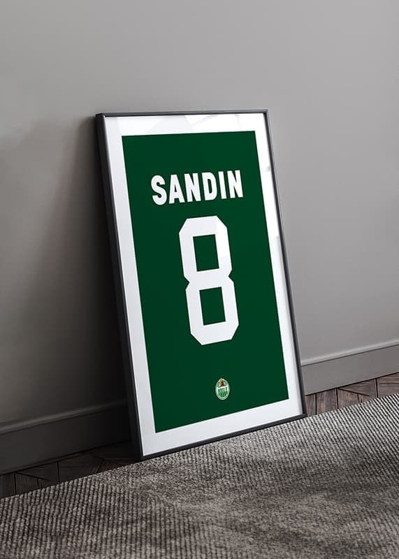 Linus Sandin #8 Rögle BK 2023/2024-12