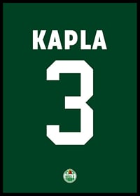 Michael Kapla #3 Rögle BK 2023/2024-2