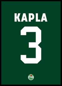 Michael Kapla #3 Rögle BK 2023/2024-2