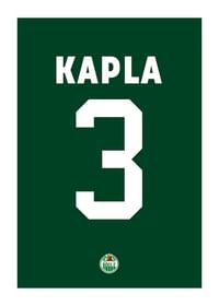 Michael Kapla #3 Rögle BK 2023/2024-1