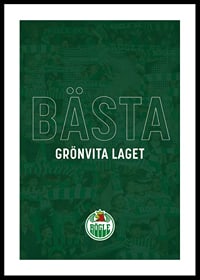 Rögle BK Bästa Grönvita Laget No2-0