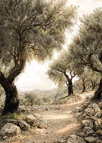 Mediterranean Path-3