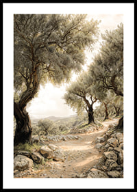 Mediterranean Path-0
