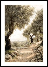 Mediterranean Path-0