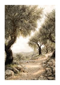 Mediterranean Path-1