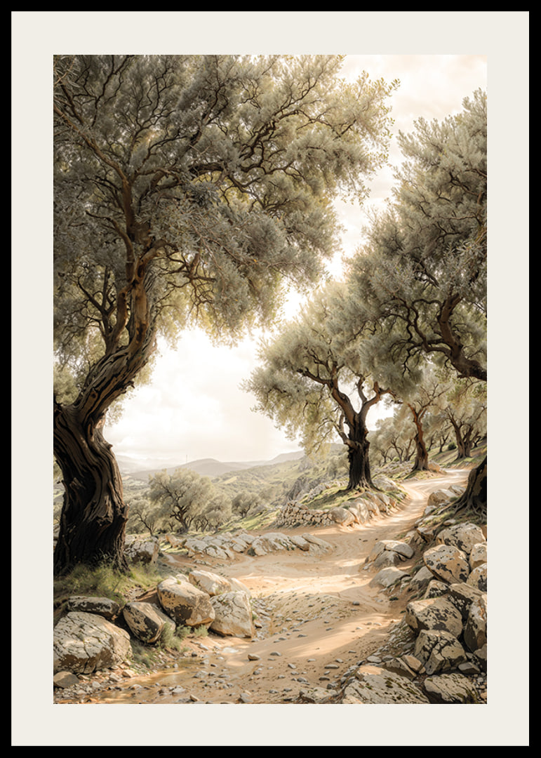 Mediterranean Path-12