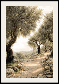 Mediterranean Path-2