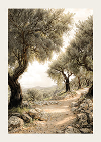 Mediterranean Path-3