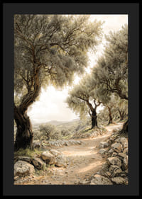 Mediterranean Path-4