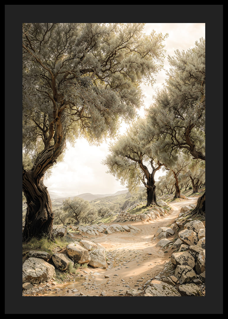 Mediterranean Path-12