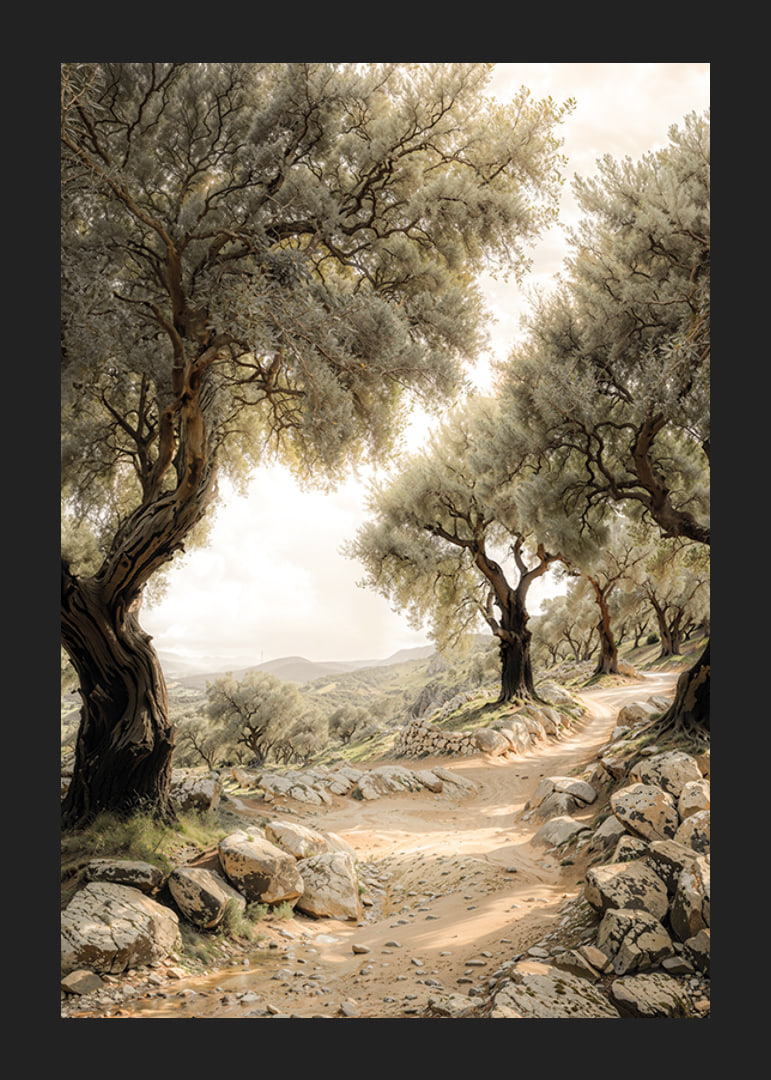 Mediterranean Path-12