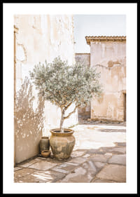 Olive Tree Mediterranean Setting No1-0