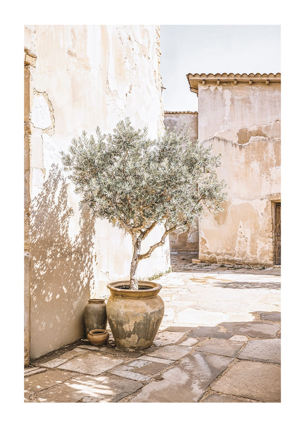 Affiche Olive Tree Mediterranean Setting No1