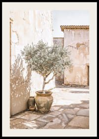 Olive Tree Mediterranean Setting No1-2