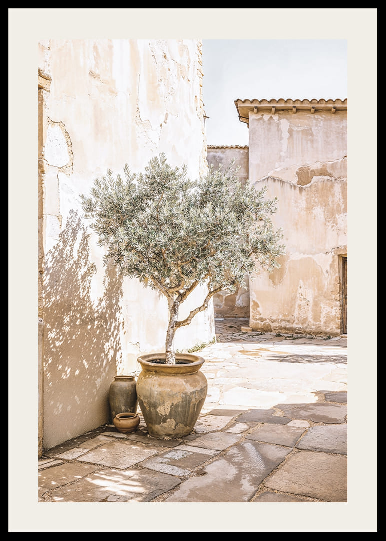 Olive Tree Mediterranean Setting No1-12