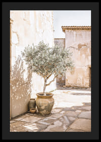Olive Tree Mediterranean Setting No1-4