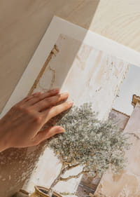 Olive Tree Mediterranean Setting No1-9