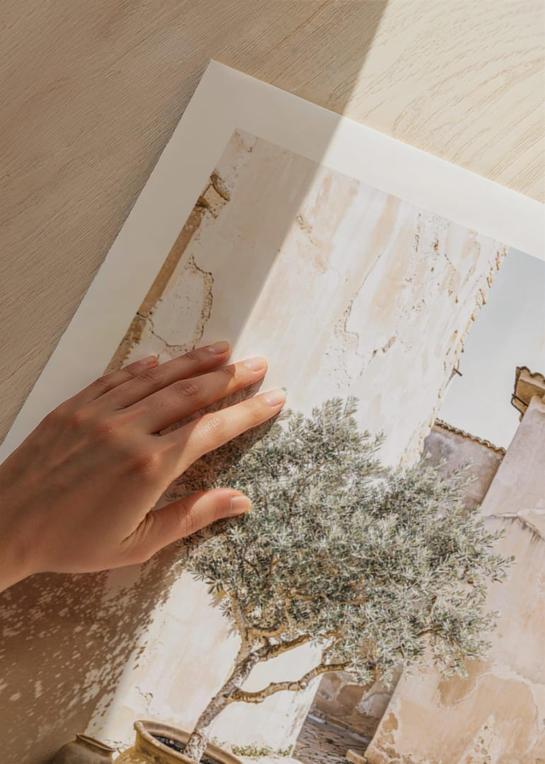 Olive Tree Mediterranean Setting No1-12