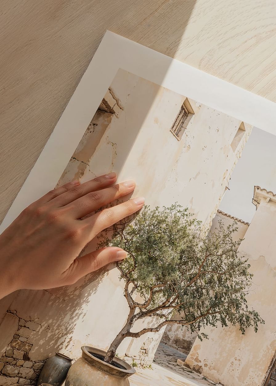 Olive Tree Mediterranean Setting No1-12