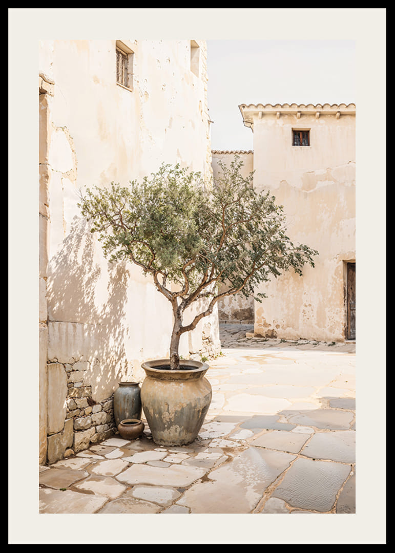 Olive Tree Mediterranean Setting No1-12