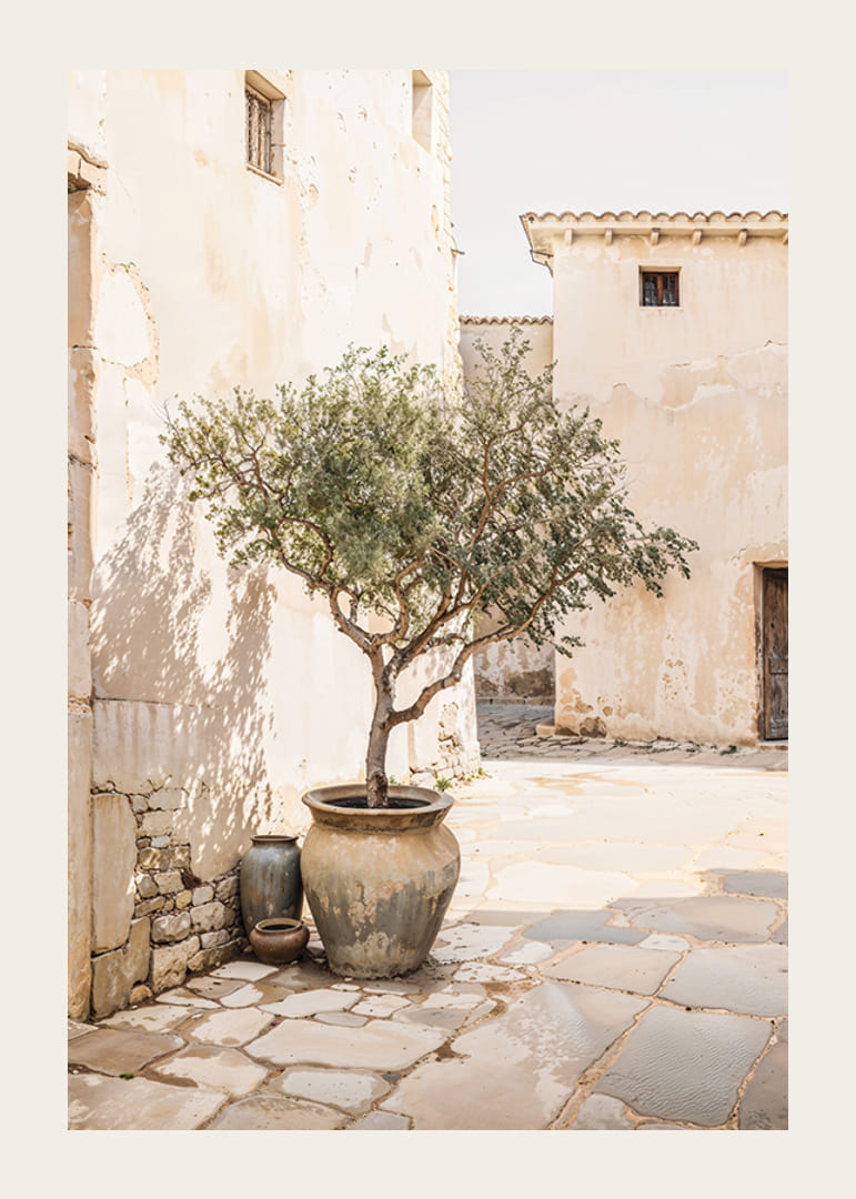 Olive Tree Mediterranean Setting No1-12
