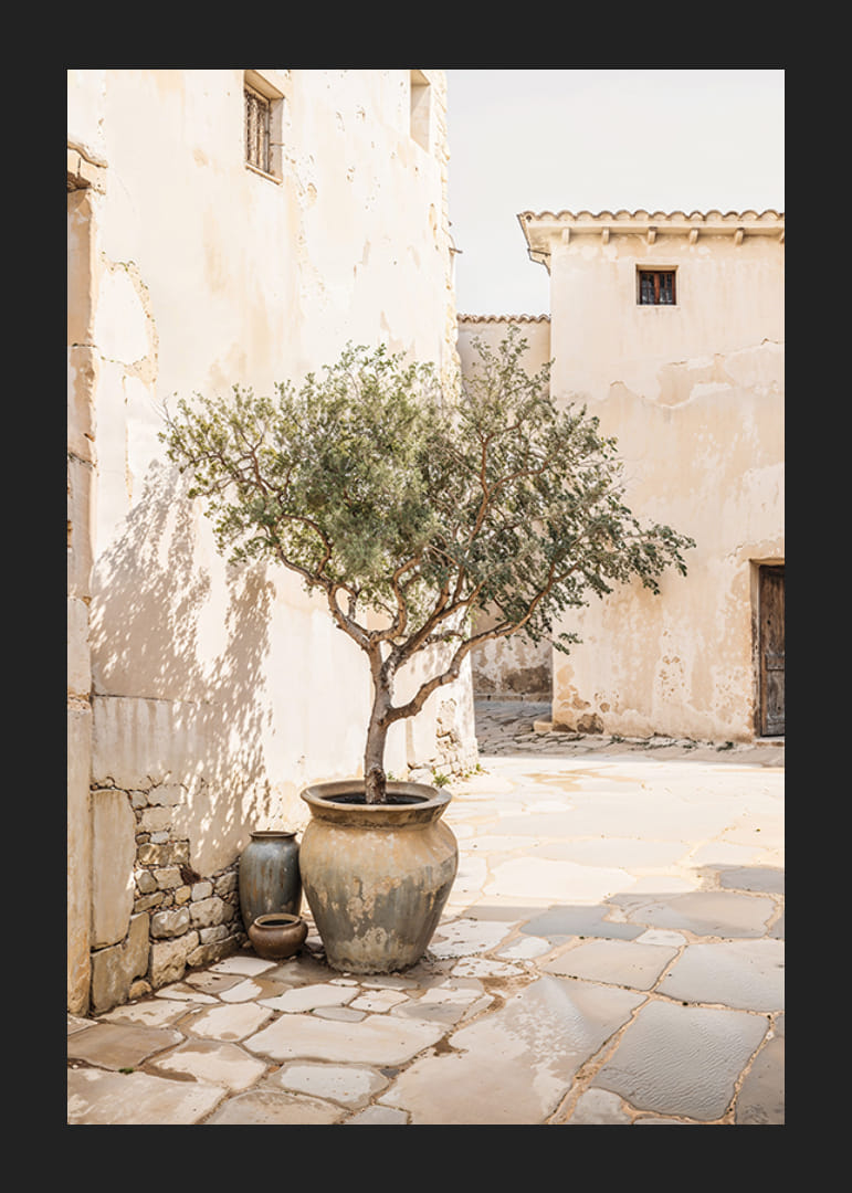 Olive Tree Mediterranean Setting No1-12