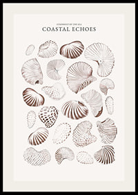 Coastal Echoes-2