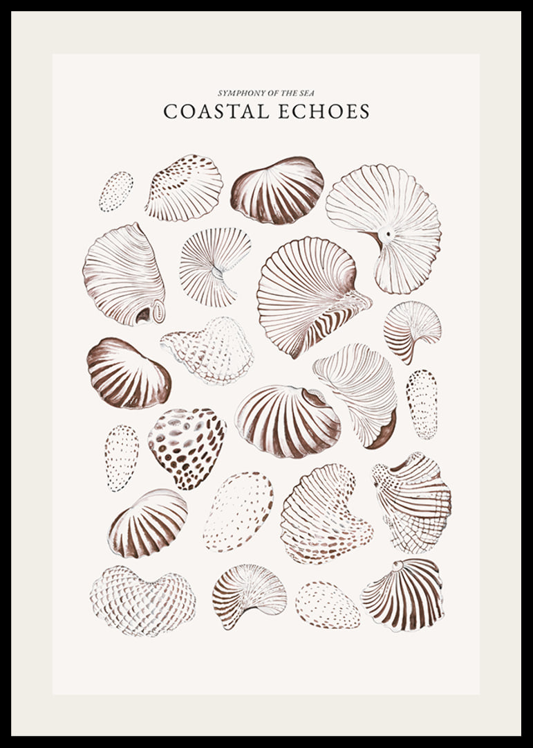 Coastal Echoes-12