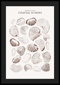 Coastal Echoes-4