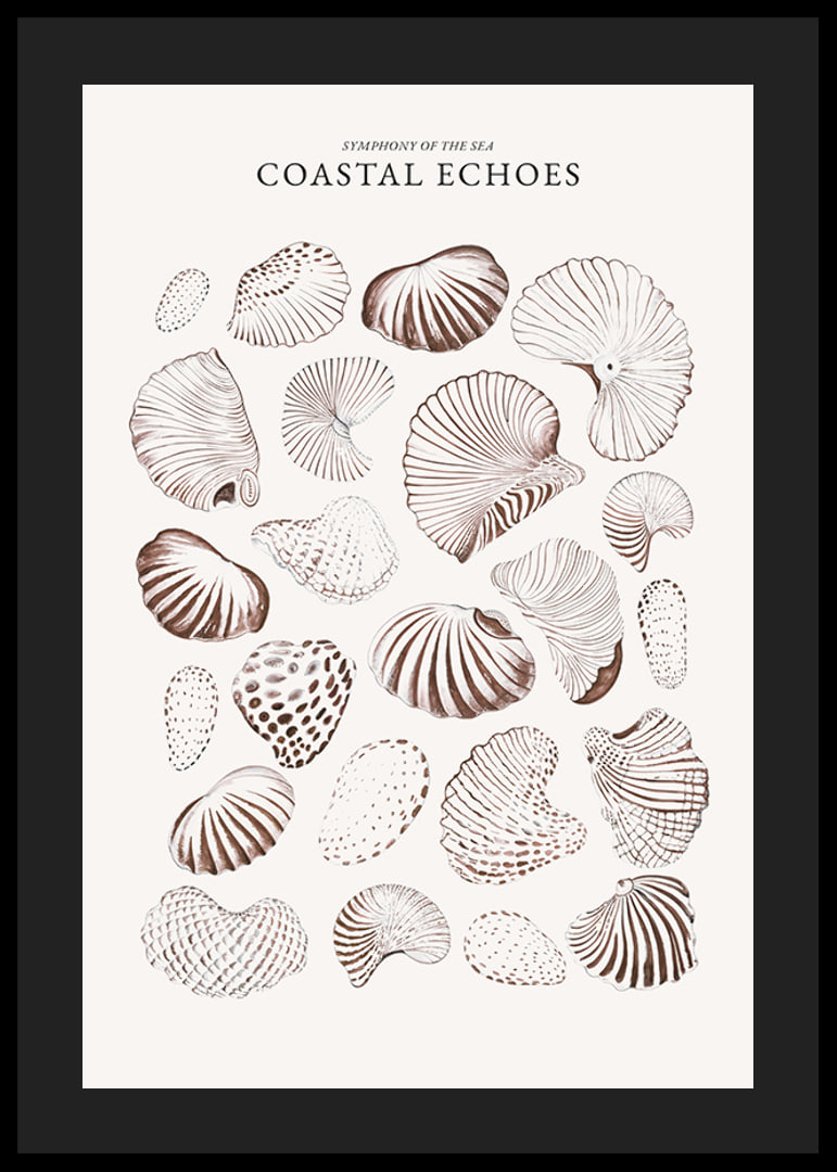 Coastal Echoes-12