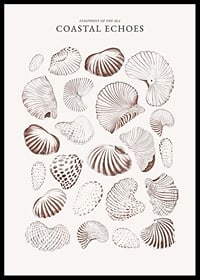 Coastal Echoes-6