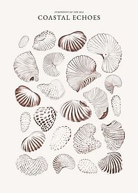 Coastal Echoes-3