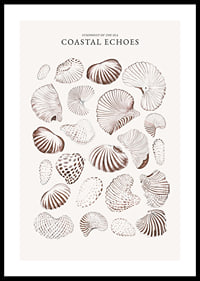 Coastal Echoes-0