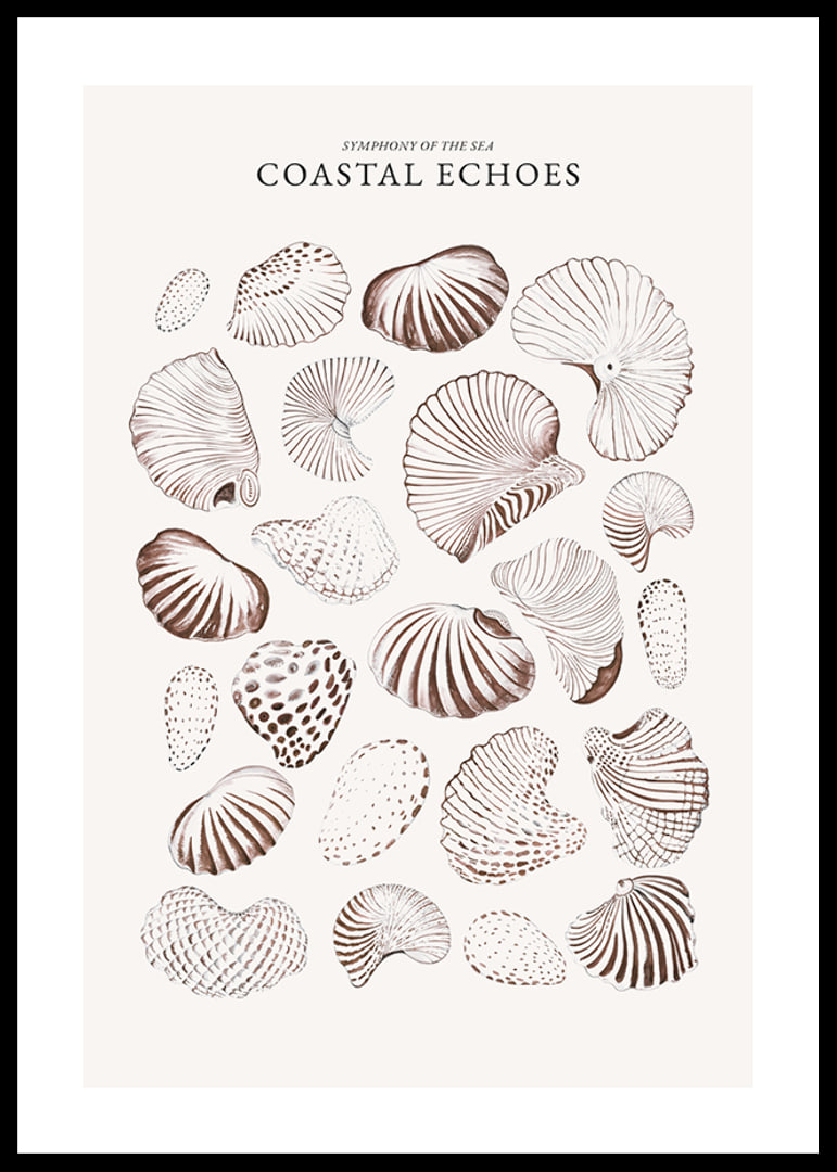 Coastal Echoes-12